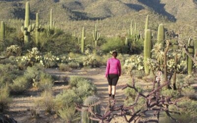 Easy Hikes in Tucson