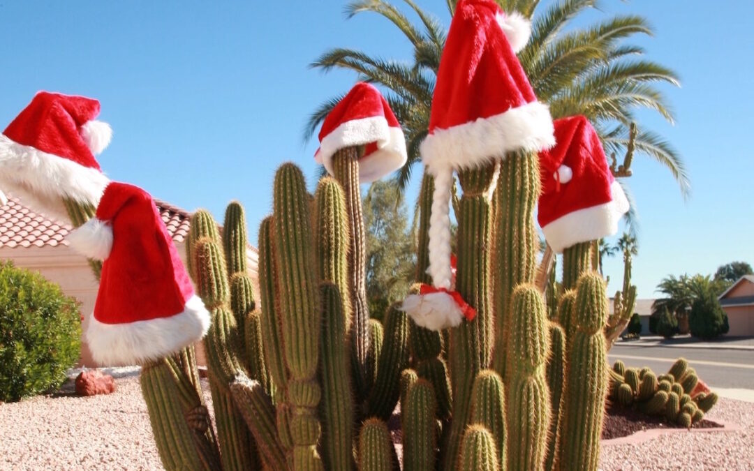 Christmas in Tucson
