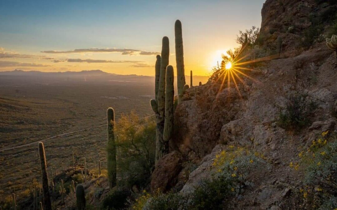 Hiking Tucson Mountains