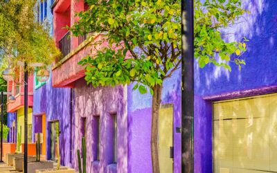 What to Do in Downtown Tucson