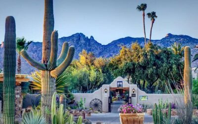 Best Resorts in Tucson for Couples