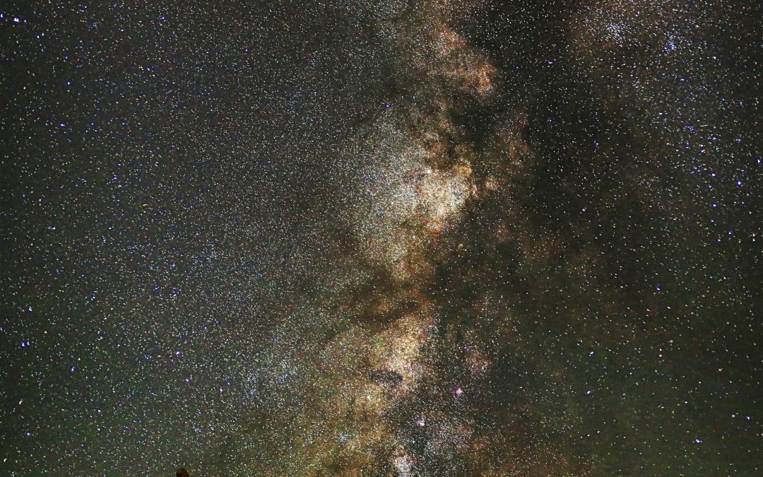 Where to Eat in Tucson AZ: Top Dining Spots!