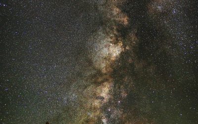 Where to Eat in Tucson AZ: Top Dining Spots!