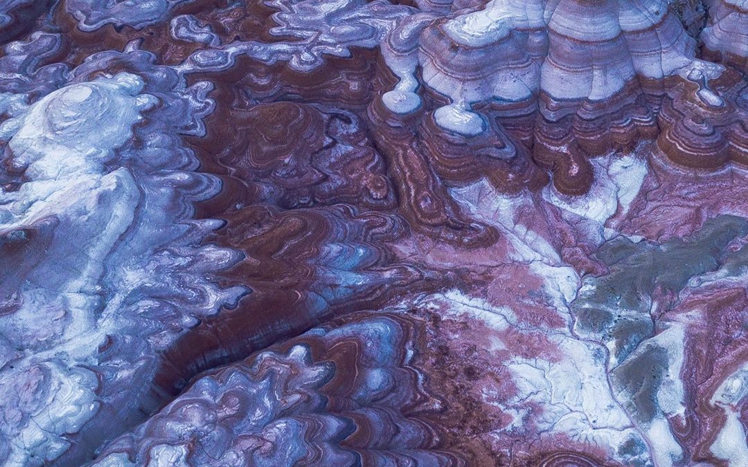 Discover What Makes Tucson Unique: A Guide!