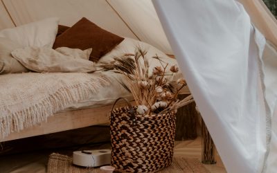 Top Things To Do in Tucson, Arizona This February!