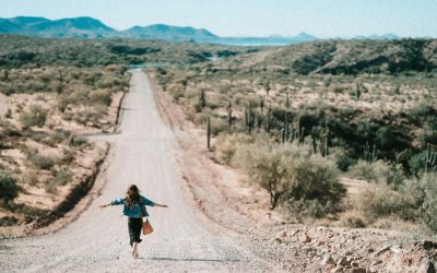 What to Do in Tucson AZ This Weekend: Top Activities!