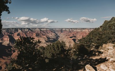 Top Tucson Activities for Toddlers You Must Try!
