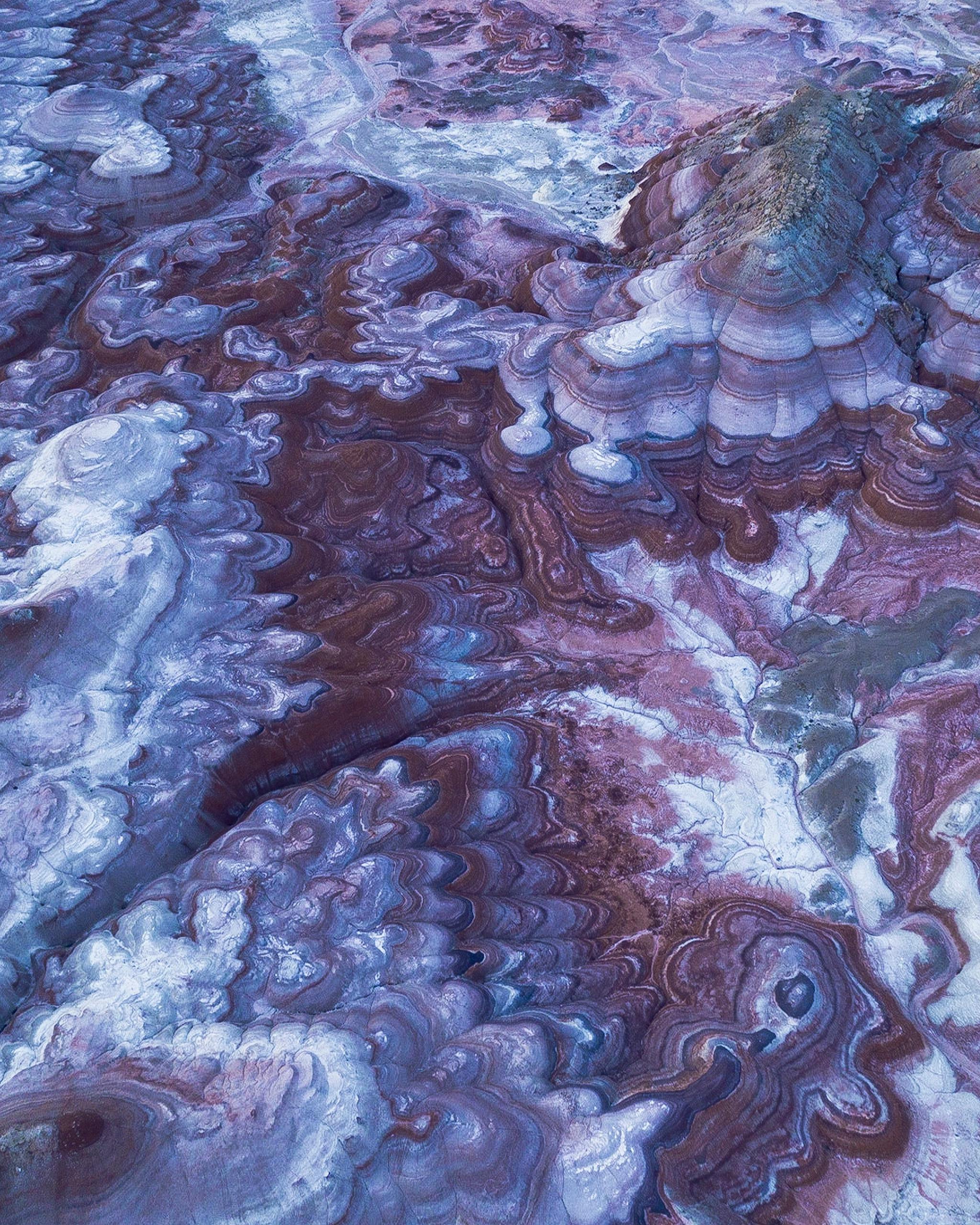 What to Do in Tucson, Arizona This Weekend: Top Picks!